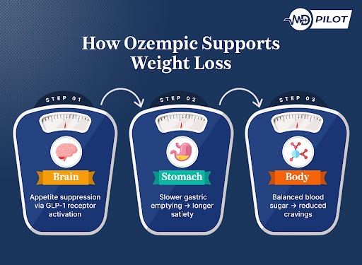 Infographic showing how Ozempic aids weight loss through brain appetite control, slower digestion, and balanced blood sugar.